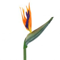 Artikel Strelitzie Paradiesvogelblume künstlich 98cm