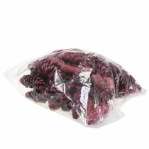 Artikel Strobus Zapfen Deko Rot Weiß gewaschen 15-20cm 50 St