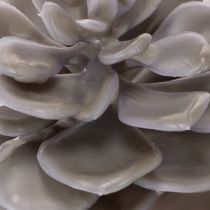 Artikel Künstliche Sukkulente Wachs Wachsblumen Dekoration 10cm 6St