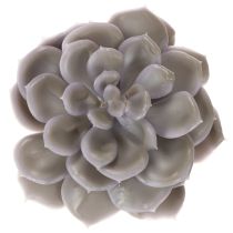 Artikel Künstliche Sukkulente Wachs Wachsblumen Dekoration 10cm 6St