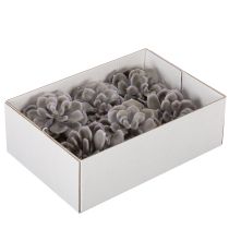 Artikel Künstliche Sukkulente Wachs Wachsblumen Dekoration 10cm 6St