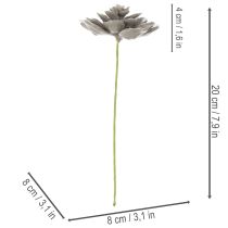 Artikel Künstliche Sukkulente Wachs Kunstpflanze mit Draht 8cm 8St