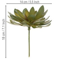 Artikel Künstliche Sukkulente als Dekopflanze grün 18cm 3St