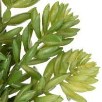 Artikel Sukkulente Kunstblume für pflegeleichte Gestaltung von Wohn- und Büroräumen 15cm 6St