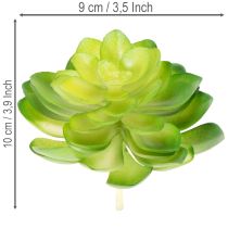 Artikel Kunstpflanze Sukkulente grün als Dekoration für Schale oder Vase 10cm 4 Stück