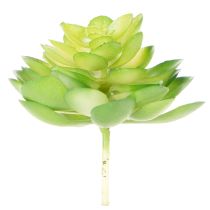 Artikel Kunstpflanze Sukkulente grün als Dekoration für Schale oder Vase 10cm 4 Stück