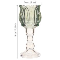 Artikel Teelichthalter Tulpe Glas Teelichtglas Grün Ø7cm H16cm 2St
