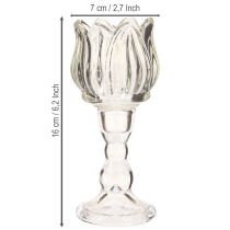 Artikel Teelichthalter Tulpe Teelichtglas mit Fuß Klar Ø7cm H16cm 2St