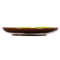 Artikel Teller rund Kiwi Motiv Keramikteller für Esstisch oder Küche 16cm 2St