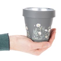 Artikel Blumentopf mit Gänseblümchen Motiv für stilvolle Innenraumgestaltung 11cm 4St
