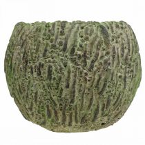 Artikel Übertopf Beton Antik-Look Grün, Braun Pflanzkübel Ø13cm
