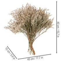 Artikel Trockenblume Strandflieder Bund Statice Natur 1kg