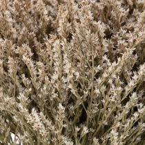 Artikel Trockenblume Strandflieder Bund Statice Natur 1kg