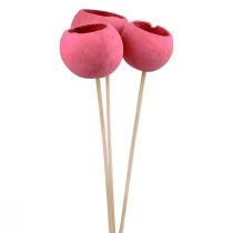 Trockenblumen Deko Bell Cups am Stiel Pink 42cm 3St