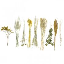 Artikel Trockenblumen DIY Toolkit Gelb für Kreativ-Bouquet und Deko-Kranz 60cm – Naturprodukt