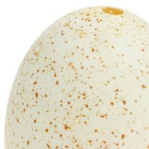 Artikel Puteneier Natur Osterdeko Echte Vogeleier 6,5cm 10St