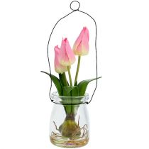 Tulpe im Glas Rosa H22,5cm 1St