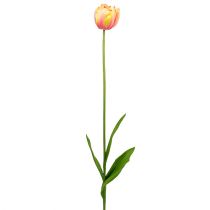 Tulpen Rosa-Gelb 86cm 3St