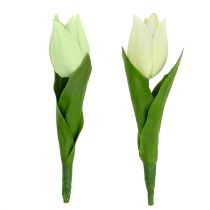 Frühlingsdeko, Künstliche Tulpen, Seidenblumen, Deko-Tulpen Grün/Creme 12St