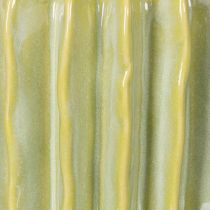 Artikel Kaktus Blumentopf Ideale Schale für exotische Wohnakzente 16cm