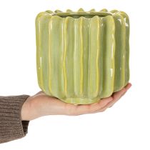 Artikel Kaktus Blumentopf Ideale Schale für exotische Wohnakzente 16cm