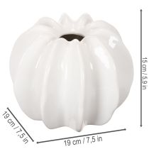 Artikel Kürbis Dekovase glänzend Herbstdekoration Wohnzimmer 19cm