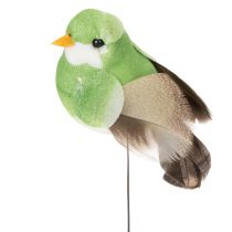 Artikel Dekovögel künstliche Wohnraumdeko Frühlingsanlass mit buntem Federkleid aus echten Federn 5cm 18St