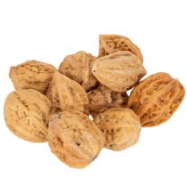Artikel Walnüsse Naturprodukt für Tischdeko und DIY Walnüsse Natur 4-5cm 300g