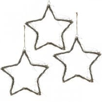 Weihnachtsdeko Stern Weiß gewaschen Sterne zum Aufhängen Ulme 30cm 4St