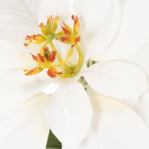 Artikel Kunstblume Weihnachtsstern weiß Große Blüte Dekopflanze 40cm