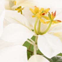 Artikel Kunstblume Weihnachtsstern weiß Große Blüte Dekopflanze 40cm