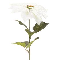 Artikel Weihnachtsstern künstlich Weiß Großer Blütenzweig Dekoration 65cm 2St