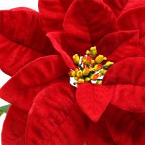 Weihnachtsstern Kunstblume Rot 67cm