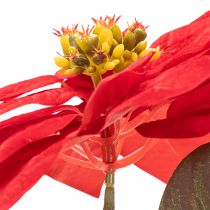 Artikel Kunstblume Weihnachtsstern Rot Einzelstiel Dekoration 82cm