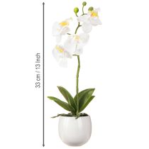 Artikel Weiße Orchidee Kunstblumen im Topf Phalaenopsis H33cm