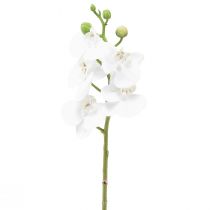 Weiße Orchidee Künstlich Phalaenopsis Real Touch 32cm