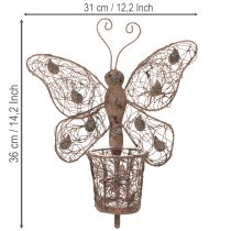 Artikel Windlicht Metall Wanddeko Schmetterling Rost Deko 36,5cm