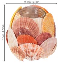 Artikel Teelichthalter maritim Windlicht echte Muscheln Deko für Badezimmer Urlaubstimmung 12cm