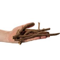 Artikel Deko Holzäste Wurzelstöcke naturgetrocknet 18cm 500g