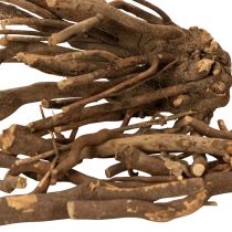 Artikel Deko Holzäste Wurzelstöcke naturgetrocknet 18cm 500g