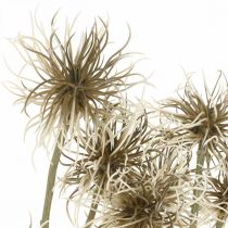 Artikel Xanthium Kunstblume Herbstdeko 6Blüten Creme, Braun 80cm 3St