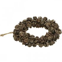 Artikel Zapfenkranz Zypresse Zapfen Kranz Türkranz Natur Ø20cm