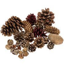Artikel Zapfenmix Natur Zapfen zum Basteln und für Adventsdeko 2-10 400g