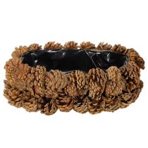 Artikel Pflanzschale aus Tannenzapfen Oval 30cm