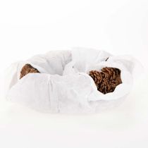 Artikel Pflanzschale aus Tannenzapfen Oval 30cm