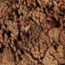 Artikel Zapfenschale rund als Pflanzgefäß 38cm Zapfentopf rund Naturbraun aus Tannenzapfen 38cm 14cm