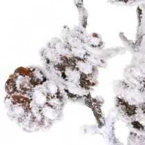 Weihnachtszweig Dekozweig Zapfenzweig Beschneit 72cm