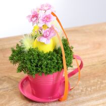 Artikel Tasse zum Bepflanzen mit Untersetzer für kreative Gärten 11cm 6St