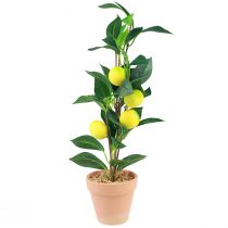 Artikel Zitronenbaum im Topf Künstliche Pflanze 42cm