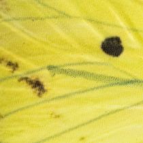 Artikel Schmetterlingszweig kunstvolle Frühlingsdeko für Innenräume 75cm